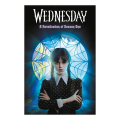 Wednesday: A Novelisation of Season One