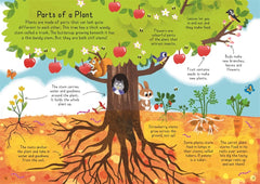 Tell Me About: Plants - The English Bookshop