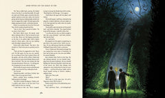 Harry Potter and the Goblet of Fire: Illustrated Edition - The English Bookshop Kuwait