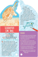 Fandex Kids: Ocean: Facts That Fit in Your Hand: 49 Sea Creatures Inside!
