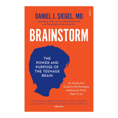 Brainstorm