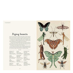 Animalium