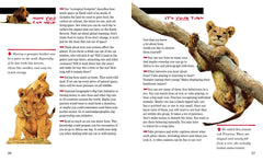 Face to Face with Lions: Level 5 (National Geographic Readers) - The English Bookshop Kuwait