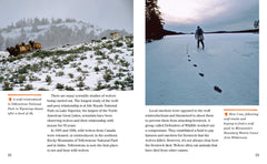 Face to Face with Wolves: Level 6 (National Geographic Readers) - The English Bookshop Kuwait