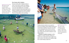 Face to Face with Dolphins: Level 5 (National Geographic Readers) - The English Bookshop Kuwait