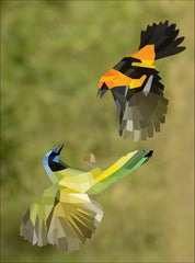 Paint by Sticker: Birds: Create 12 Stunning Images One Sticker at a Time! - The English Bookshop Kuwait