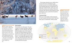 Face to Face with Wolves: Level 6 (National Geographic Readers) - The English Bookshop Kuwait