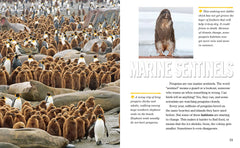 Face to Face with Penguins: Level 6 (National Geographic Readers) - The English Bookshop Kuwait