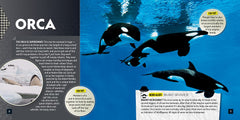Nerdlet: Animals (National Geographic Kids) - The English Bookshop Kuwait
