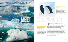 Face to Face with Penguins: Level 6 (National Geographic Readers) - The English Bookshop Kuwait