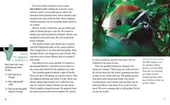 Face to Face with Gorillas: Level 5 (National Geographic Readers) - The English Bookshop Kuwait