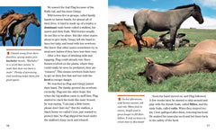 Face to Face with Wild Horses: Level 6 (National Geographic Readers) - The English Bookshop Kuwait