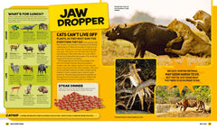 Everything: Big Cats (National Geographic Kids) - The English Bookshop Kuwait