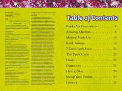 Rocks and Minerals: Level 3 (National Geographic Readers) - The English Bookshop Kuwait