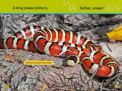 Slither, Snake!: Level 1 (National Geographic Readers) - The English Bookshop Kuwait