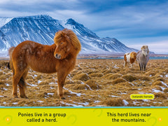 Trot, Pony!: Level 1 (National Geographic Readers) - The English Bookshop Kuwait