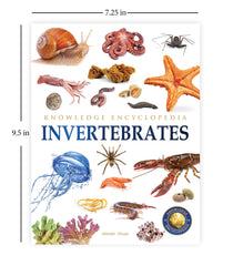 Animals - Collection of 6 Books: Knowledge Encyclopedia For Children (Box Set) - The English Bookshop Kuwait