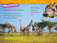 Giraffes: Level 2 (National Geographic Readers) - The English Bookshop Kuwait