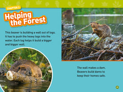 In the Forest: Level 2 (National Geographic Readers) - The English Bookshop Kuwait