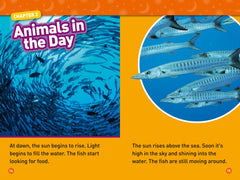 Day and Night: Level 2 (National Geographic Readers) - The English Bookshop Kuwait