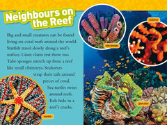 Coral Reefs: Level 3 (National Geographic Readers) - The English Bookshop Kuwait