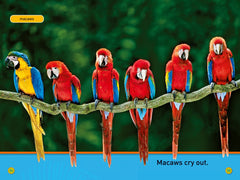 Swing, Sloth!: Level 1 (National Geographic Readers) - The English Bookshop Kuwait