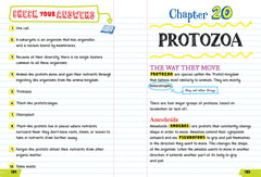 Everything You Need to Ace Biology in One Big Fat Notebook - The English Bookshop Kuwait