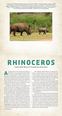 Wild: A Photicular Book - The English Bookshop Kuwait