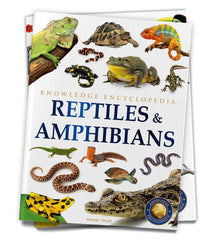 Animals - Collection of 6 Books: Knowledge Encyclopedia For Children (Box Set) - The English Bookshop Kuwait