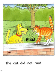 Read with Oxford: Stage 1: Biff, Chip and Kipper: Picnic Fun and Other Stories - The English Bookshop