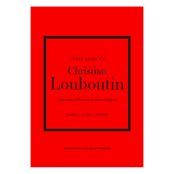 Christian Louboutin, Shoes, Louboutin Biblio Silver Glitter Like New Heels