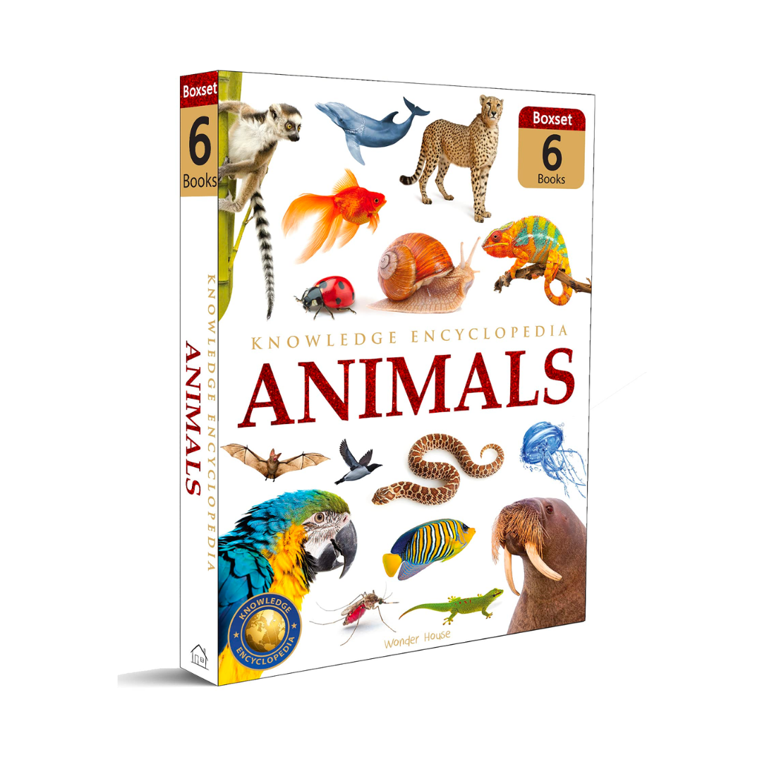 Animals - Collection of 6 Books: Knowledge Encyclopedia For Children (Box Set) - The English Bookshop Kuwait