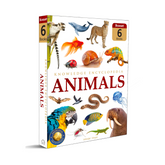 Animals - Collection of 6 Books: Knowledge Encyclopedia For Children (Box Set) - The English Bookshop Kuwait