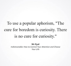 Indistractable - The English Bookshop