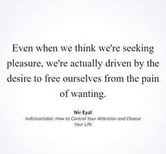 Indistractable - The English Bookshop