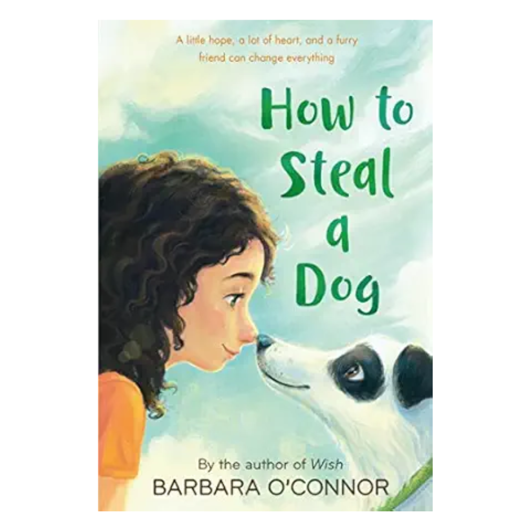 How to Steal a Dog
