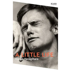 A Little Life