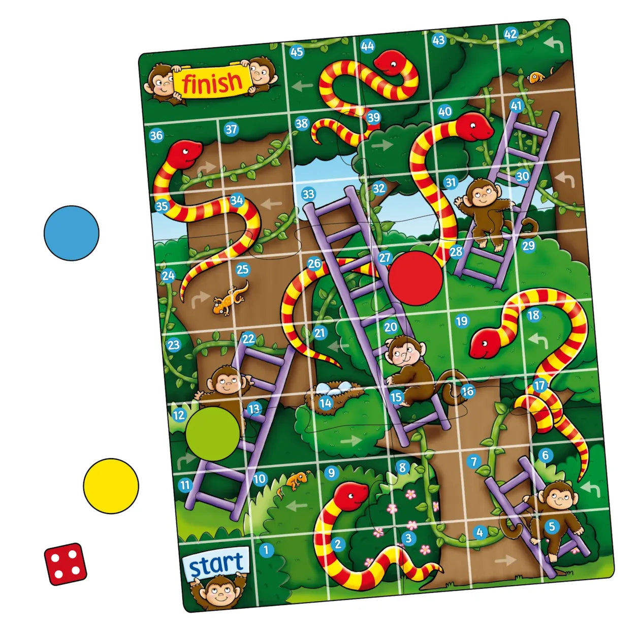 Jungle Snakes and Ladders - The English Bookshop