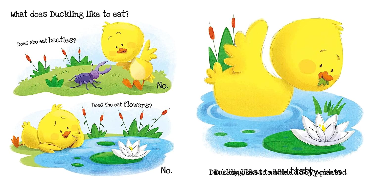 What Does Duckling Like?: Touch & Feel Board Book - The English Bookshop Kuwait
