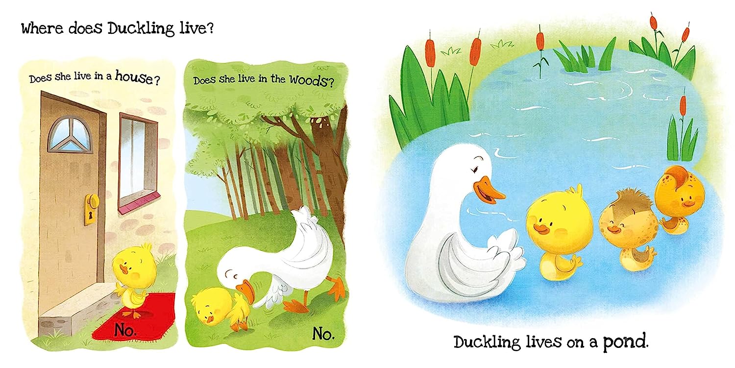 What Does Duckling Like?: Touch & Feel Board Book - The English Bookshop Kuwait