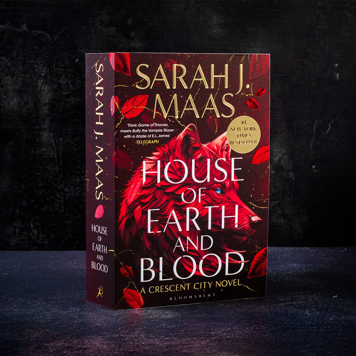 House of Earth and Blood: The first book in the SENSATIONAL Crescent City series, from the creator of ACOTAR