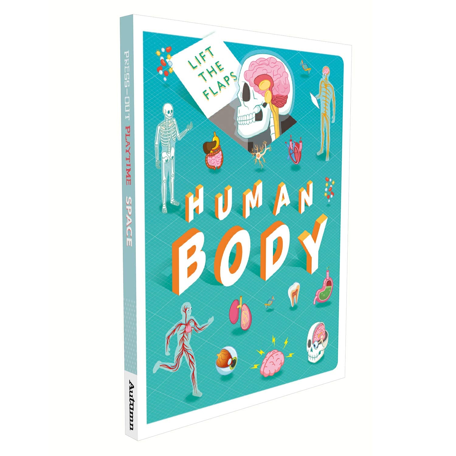 Lift The Flaps: Human Body - The English Bookshop Kuwait