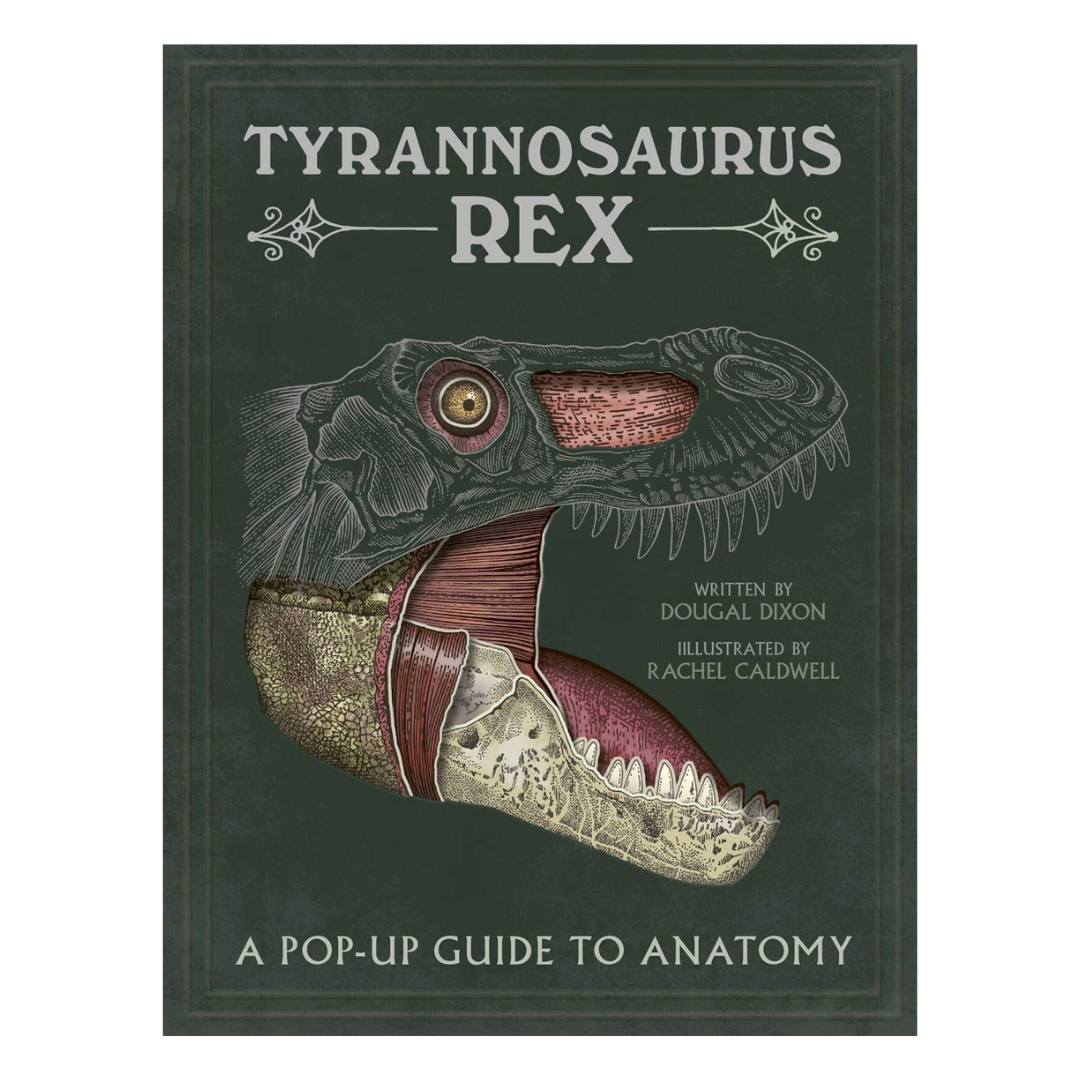 TYRANNOSAURUS REX  POP UP