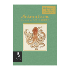 Animalium: Mini Gift Edition