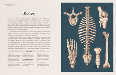 Anatomicum Junior (Welcome To The Museum)