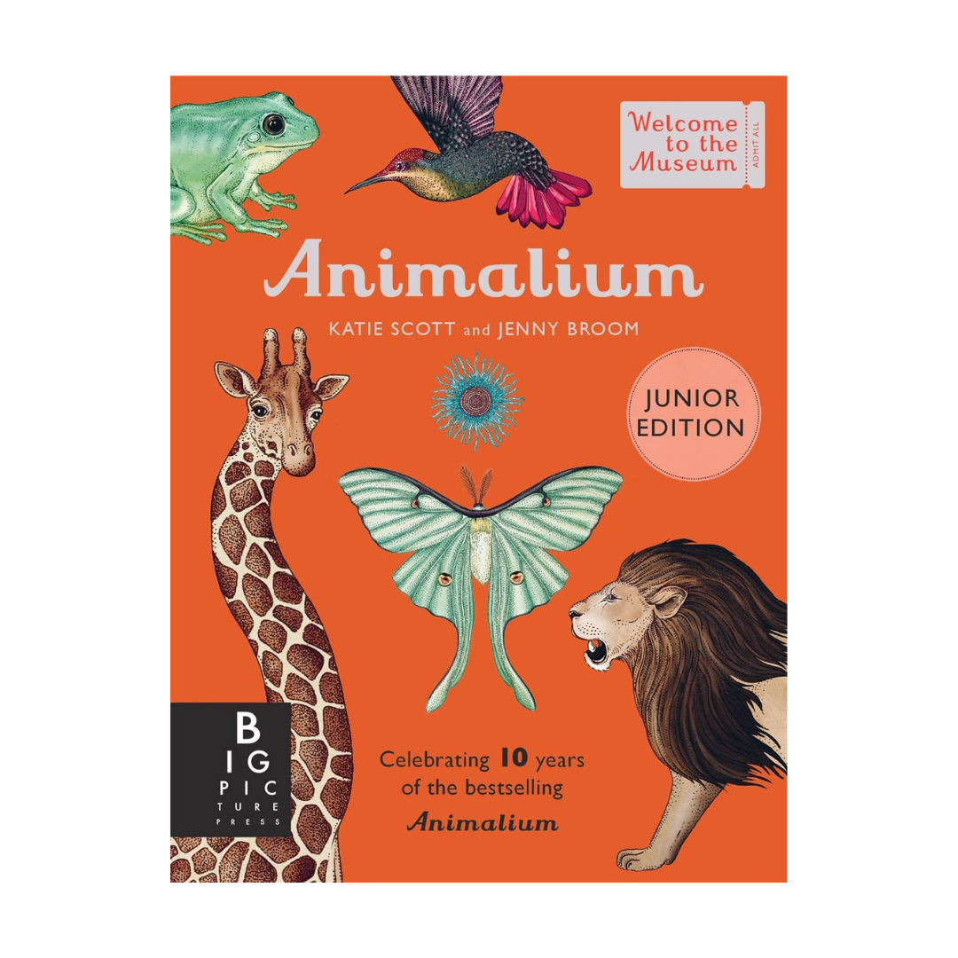 Animalium: Junior Edition
