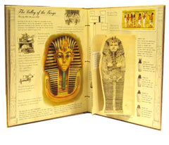 Egyptology (Ology Series) - The English Bookshop