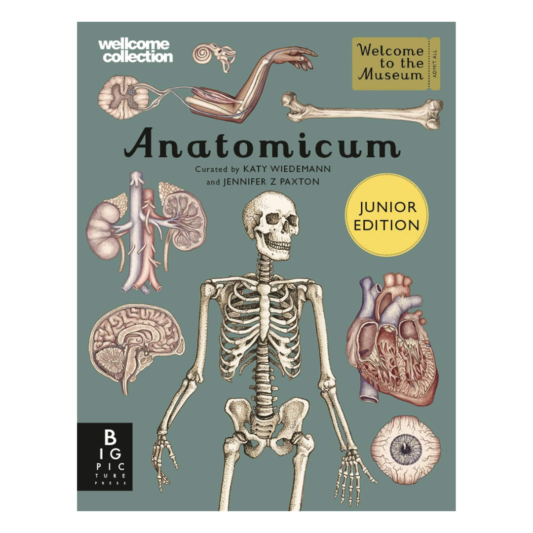 Anatomicum Junior (Welcome To The Museum)