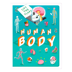 Lift The Flaps: Human Body - The English Bookshop Kuwait