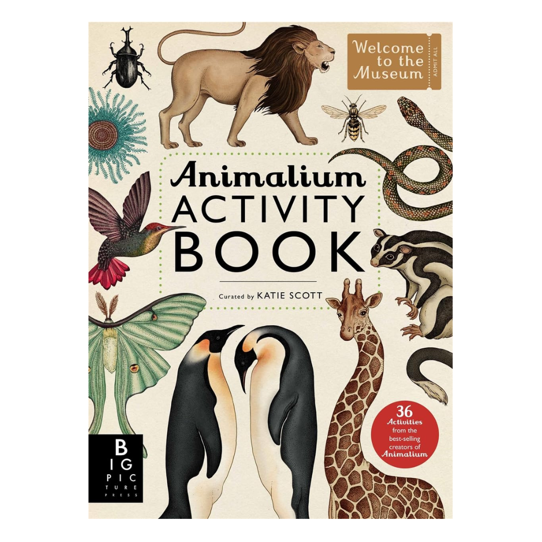 Animalium Activity Book - The English Bookshop